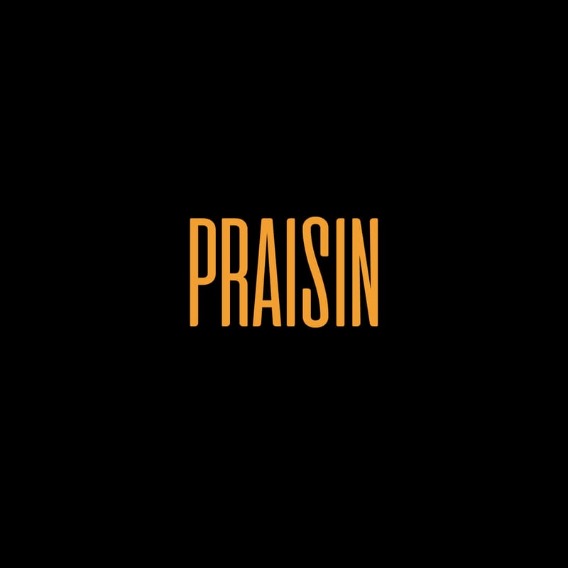 Praisin cover art